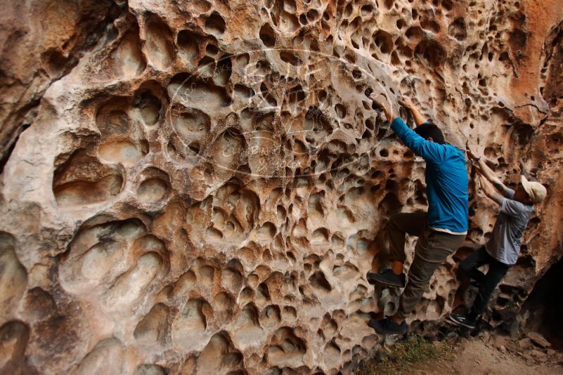 

Filename: SRM_20170314_1521270.jpg
Aperture: f/2.8
Shutter Speed: 1/100
Body: Canon EOS-1D Mark II
Lens: Canon EF 16-35mm f/2.8 L