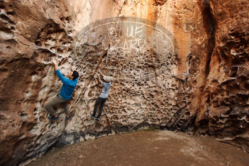 

Filename: SRM_20170314_1522160.jpg
Aperture: f/2.8
Shutter Speed: 1/80
Body: Canon EOS-1D Mark II
Lens: Canon EF 16-35mm f/2.8 L