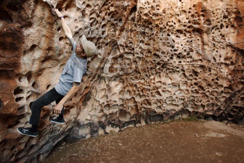 

Filename: SRM_20170314_1522470.jpg
Aperture: f/2.8
Shutter Speed: 1/80
Body: Canon EOS-1D Mark II
Lens: Canon EF 16-35mm f/2.8 L