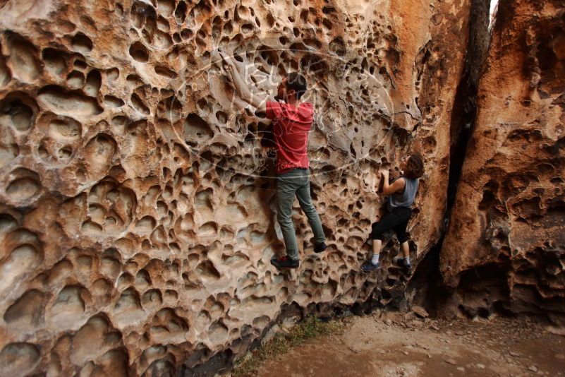 

Filename: SRM_20170314_1523370.jpg
Aperture: f/2.8
Shutter Speed: 1/80
Body: Canon EOS-1D Mark II
Lens: Canon EF 16-35mm f/2.8 L