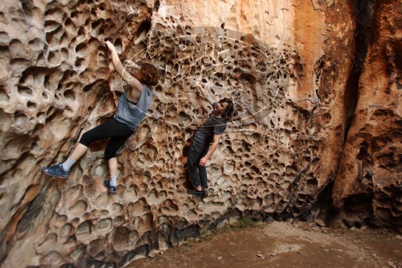 

Filename: SRM_20170314_1524380.jpg
Aperture: f/2.8
Shutter Speed: 1/80
Body: Canon EOS-1D Mark II
Lens: Canon EF 16-35mm f/2.8 L