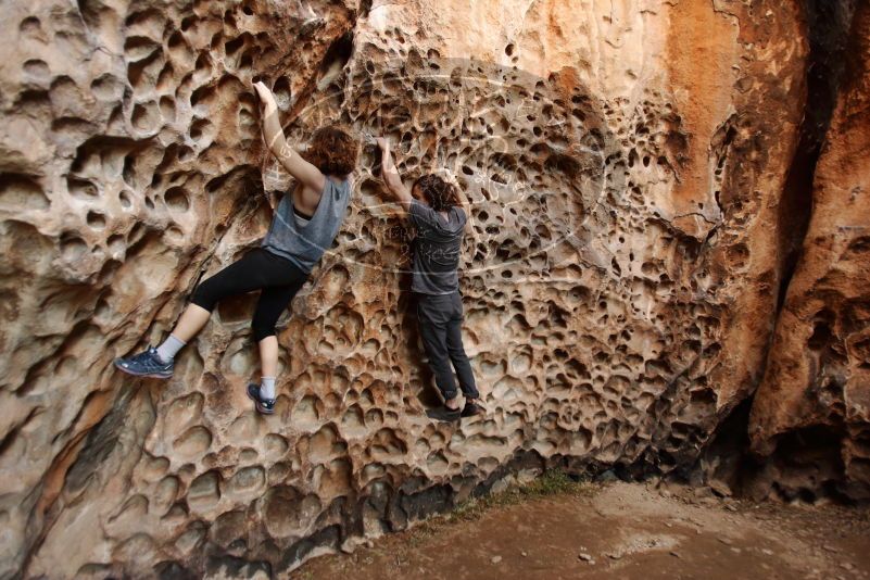 

Filename: SRM_20170314_1524400.jpg
Aperture: f/2.8
Shutter Speed: 1/80
Body: Canon EOS-1D Mark II
Lens: Canon EF 16-35mm f/2.8 L