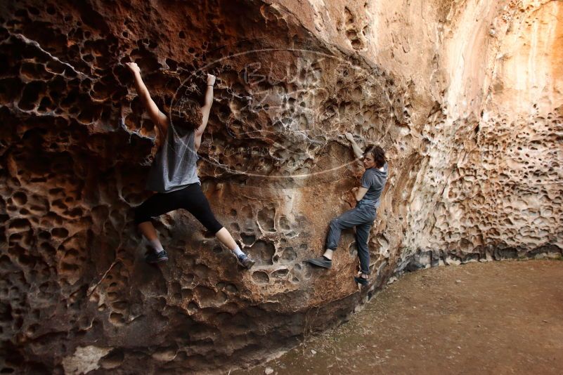 

Filename: SRM_20170314_1526020.jpg
Aperture: f/2.8
Shutter Speed: 1/80
Body: Canon EOS-1D Mark II
Lens: Canon EF 16-35mm f/2.8 L