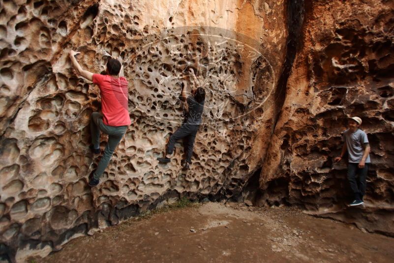 

Filename: SRM_20170314_1529200.jpg
Aperture: f/2.8
Shutter Speed: 1/80
Body: Canon EOS-1D Mark II
Lens: Canon EF 16-35mm f/2.8 L