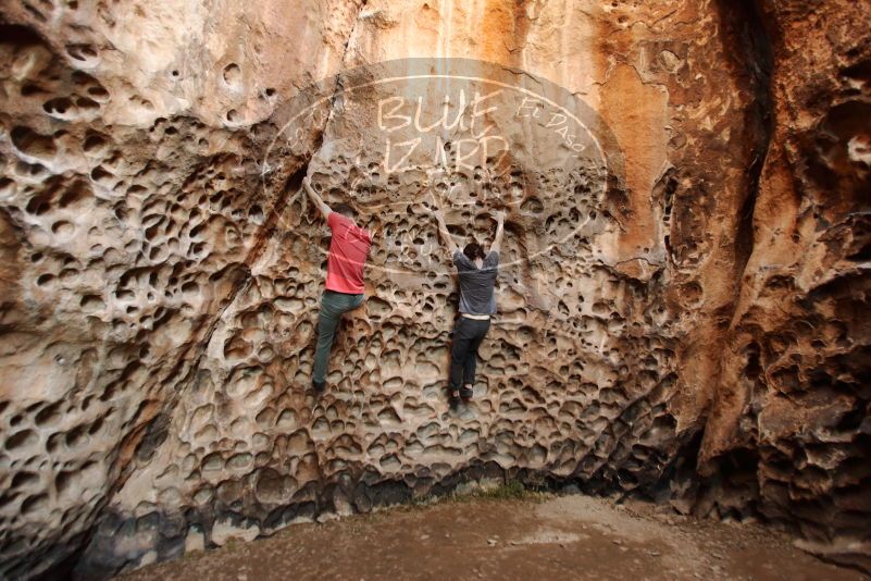 

Filename: SRM_20170314_1529250.jpg
Aperture: f/2.8
Shutter Speed: 1/80
Body: Canon EOS-1D Mark II
Lens: Canon EF 16-35mm f/2.8 L