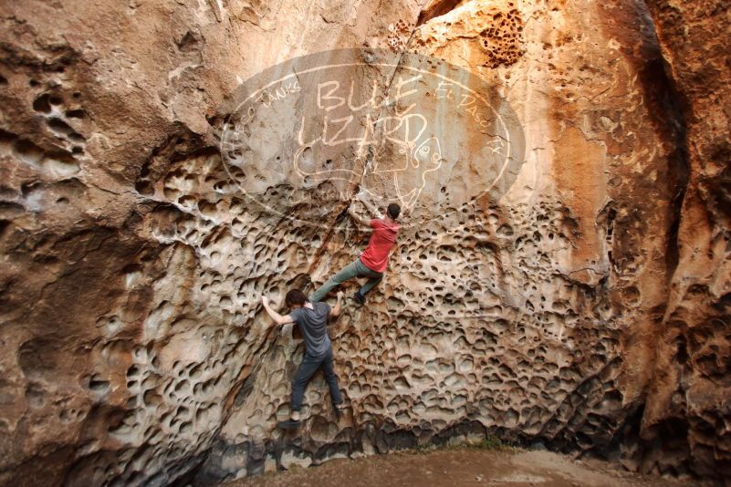 

Filename: SRM_20170314_1529410.jpg
Aperture: f/2.8
Shutter Speed: 1/80
Body: Canon EOS-1D Mark II
Lens: Canon EF 16-35mm f/2.8 L