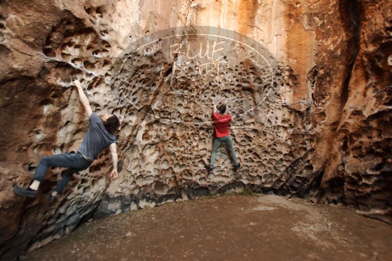 

Filename: SRM_20170314_1529560.jpg
Aperture: f/2.8
Shutter Speed: 1/80
Body: Canon EOS-1D Mark II
Lens: Canon EF 16-35mm f/2.8 L