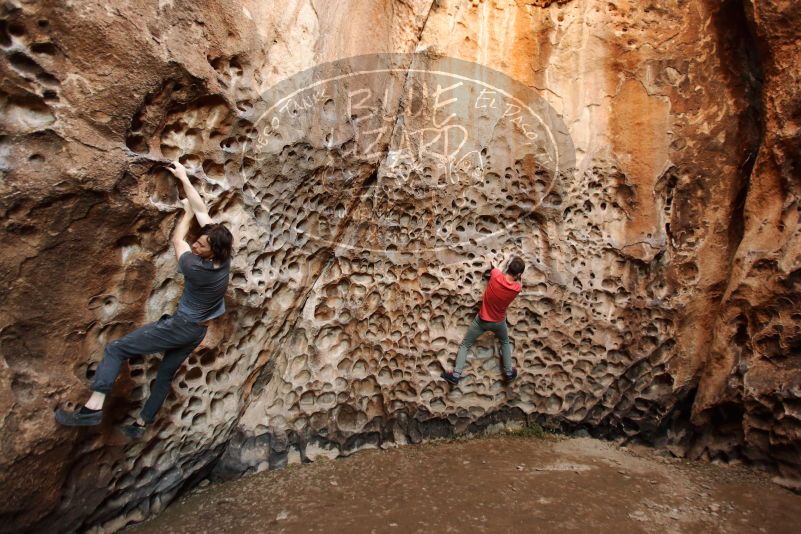 

Filename: SRM_20170314_1529581.jpg
Aperture: f/2.8
Shutter Speed: 1/80
Body: Canon EOS-1D Mark II
Lens: Canon EF 16-35mm f/2.8 L