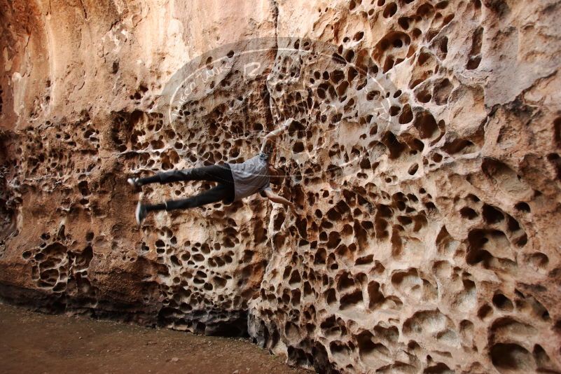 

Filename: SRM_20170314_1547311.jpg
Aperture: f/4.0
Shutter Speed: 1/40
Body: Canon EOS-1D Mark II
Lens: Canon EF 16-35mm f/2.8 L