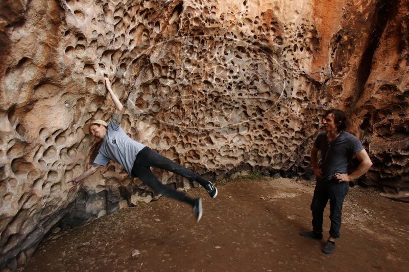 

Filename: SRM_20170314_1549210.jpg
Aperture: f/4.0
Shutter Speed: 1/50
Body: Canon EOS-1D Mark II
Lens: Canon EF 16-35mm f/2.8 L