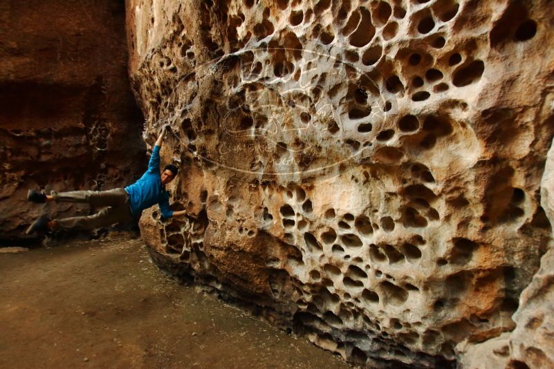 

Filename: SRM_20170314_1559143.jpg
Aperture: f/4.0
Shutter Speed: 1/50
Body: Canon EOS-1D Mark II
Lens: Canon EF 16-35mm f/2.8 L