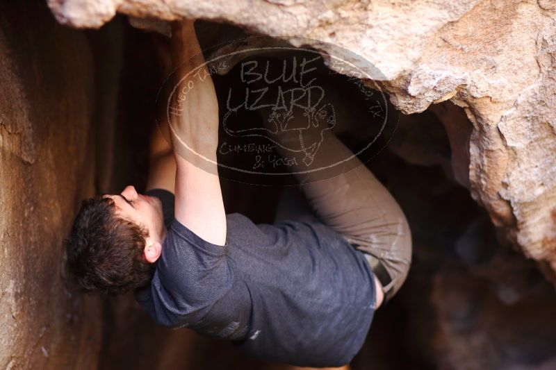 

Filename: SRM_20170315_1101121.jpg
Aperture: f/1.8
Shutter Speed: 1/250
Body: Canon EOS-1D Mark II
Lens: Canon EF 85mm f/1.2 L II