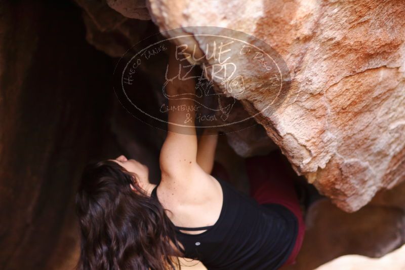 

Filename: SRM_20170315_1104460.jpg
Aperture: f/1.8
Shutter Speed: 1/250
Body: Canon EOS-1D Mark II
Lens: Canon EF 85mm f/1.2 L II