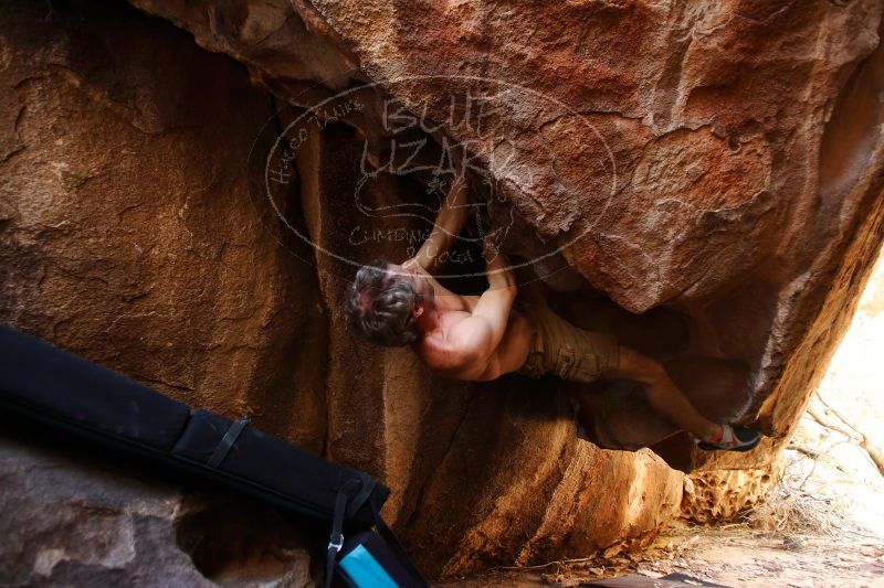 

Filename: SRM_20170315_1156511.jpg
Aperture: f/2.8
Shutter Speed: 1/125
Body: Canon EOS-1D Mark II
Lens: Canon EF 16-35mm f/2.8 L