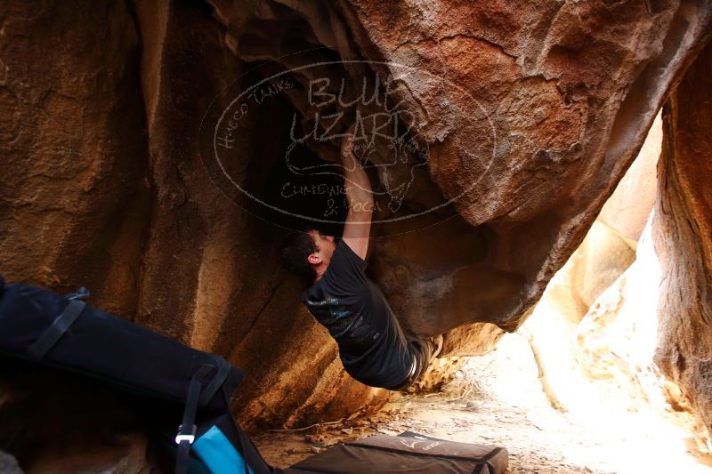 

Filename: SRM_20170315_1220411.jpg
Aperture: f/2.8
Shutter Speed: 1/125
Body: Canon EOS-1D Mark II
Lens: Canon EF 16-35mm f/2.8 L