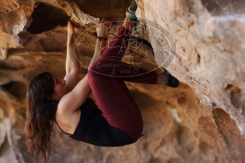 

Filename: SRM_20170315_1522011.jpg
Aperture: f/2.0
Shutter Speed: 1/400
Body: Canon EOS-1D Mark II
Lens: Canon EF 85mm f/1.2 L II