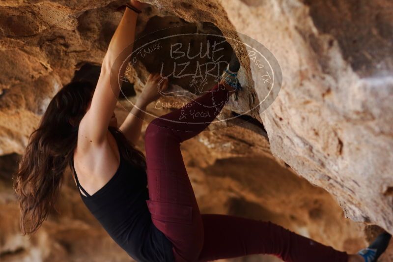 

Filename: SRM_20170315_1522040.jpg
Aperture: f/2.0
Shutter Speed: 1/400
Body: Canon EOS-1D Mark II
Lens: Canon EF 85mm f/1.2 L II