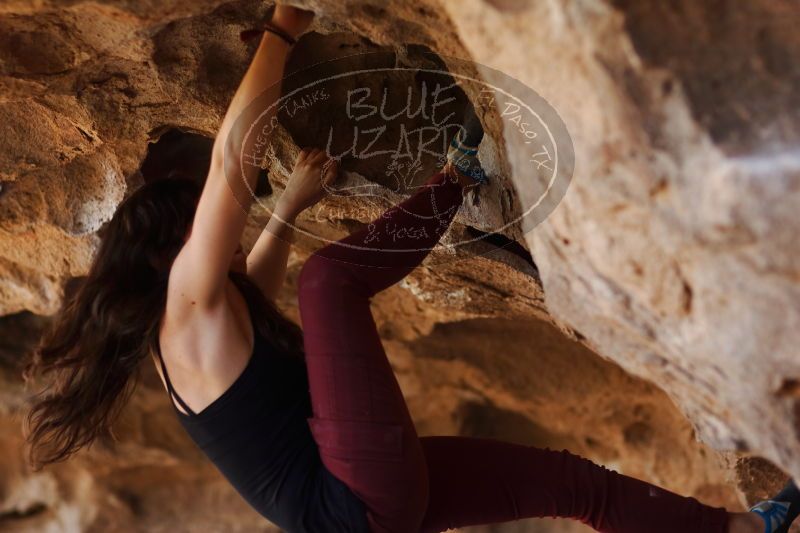 

Filename: SRM_20170315_1522041.jpg
Aperture: f/2.0
Shutter Speed: 1/400
Body: Canon EOS-1D Mark II
Lens: Canon EF 85mm f/1.2 L II