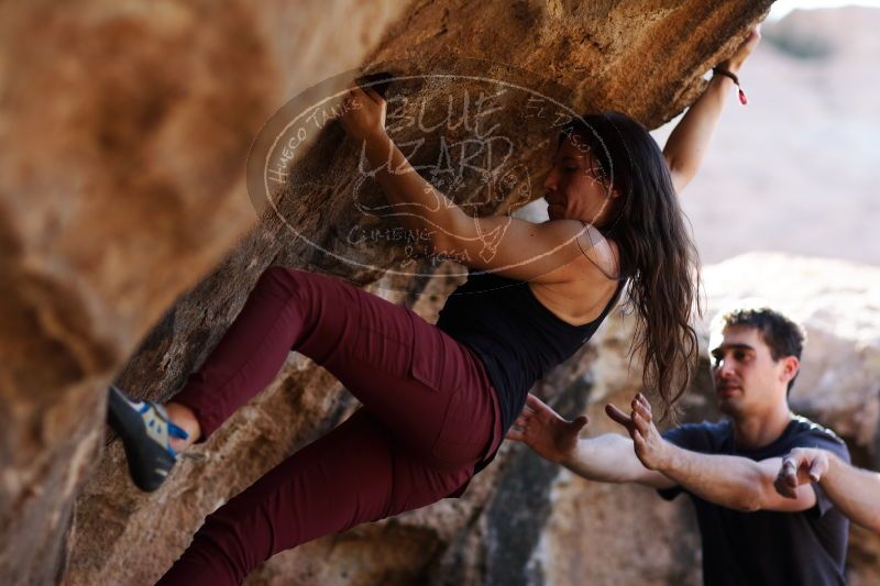 

Filename: SRM_20170315_1529111.jpg
Aperture: f/2.0
Shutter Speed: 1/640
Body: Canon EOS-1D Mark II
Lens: Canon EF 85mm f/1.2 L II