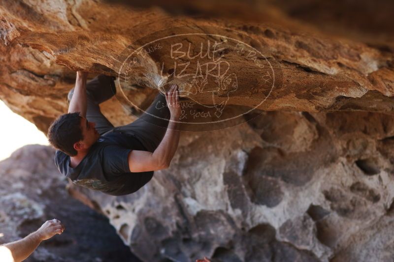 

Filename: SRM_20170315_1536531.jpg
Aperture: f/2.0
Shutter Speed: 1/640
Body: Canon EOS-1D Mark II
Lens: Canon EF 85mm f/1.2 L II