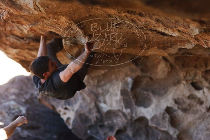 

Filename: SRM_20170315_1536541.jpg
Aperture: f/2.0
Shutter Speed: 1/640
Body: Canon EOS-1D Mark II
Lens: Canon EF 85mm f/1.2 L II