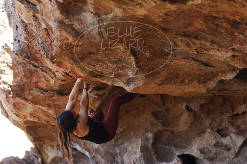 

Filename: SRM_20170315_1546010.jpg
Aperture: f/2.8
Shutter Speed: 1/400
Body: Canon EOS-1D Mark II
Lens: Canon EF 85mm f/1.2 L II