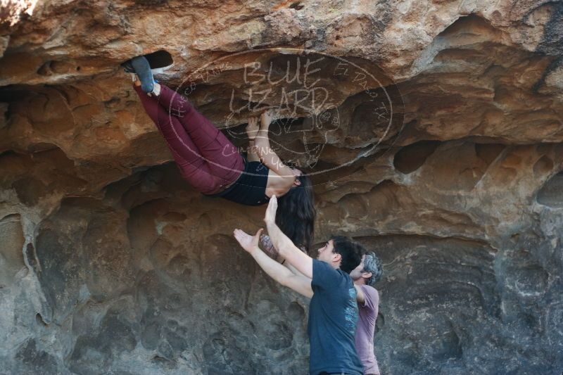 

Filename: SRM_20170315_1600561.jpg
Aperture: f/2.8
Shutter Speed: 1/320
Body: Canon EOS-1D Mark II
Lens: Canon EF 50mm f/1.8 II