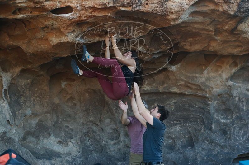 

Filename: SRM_20170315_1601073.jpg
Aperture: f/2.8
Shutter Speed: 1/320
Body: Canon EOS-1D Mark II
Lens: Canon EF 50mm f/1.8 II