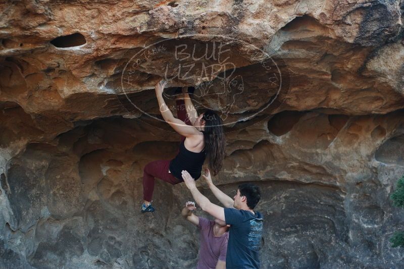 

Filename: SRM_20170315_1601170.jpg
Aperture: f/2.8
Shutter Speed: 1/320
Body: Canon EOS-1D Mark II
Lens: Canon EF 50mm f/1.8 II