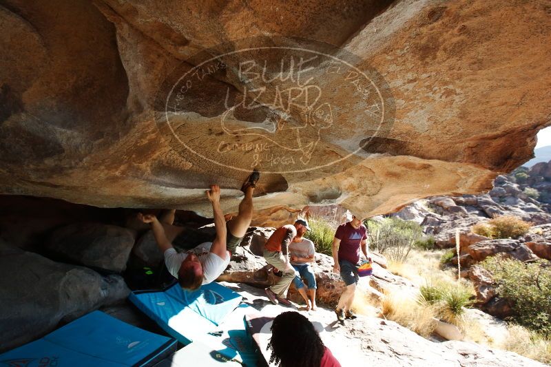 

Filename: SRM_20170318_0934280.jpg
Aperture: f/5.6
Shutter Speed: 1/500
Body: Canon EOS-1D Mark II
Lens: Canon EF 16-35mm f/2.8 L