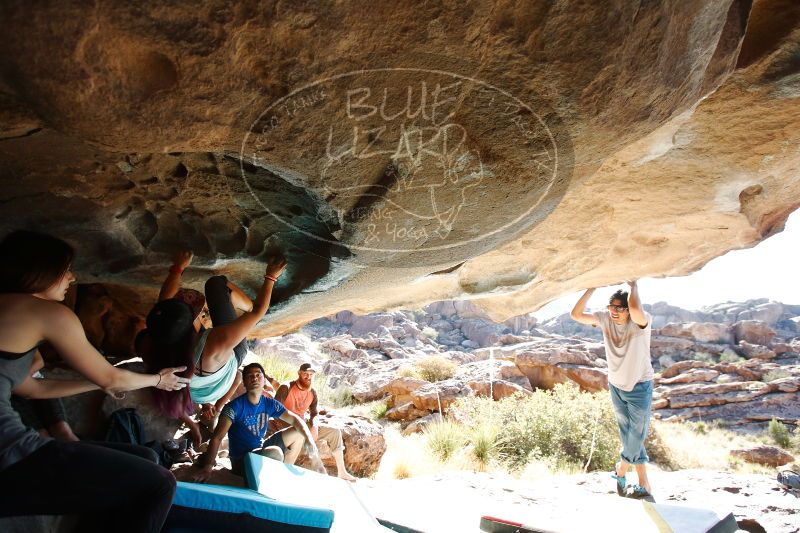 

Filename: SRM_20170318_0943290.jpg
Aperture: f/4.0
Shutter Speed: 1/500
Body: Canon EOS-1D Mark II
Lens: Canon EF 16-35mm f/2.8 L