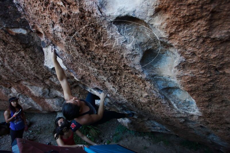 

Filename: SRM_20170317_1003320.jpg
Aperture: f/3.5
Shutter Speed: 1/320
Body: Canon EOS-1D Mark II
Lens: Canon EF 16-35mm f/2.8 L