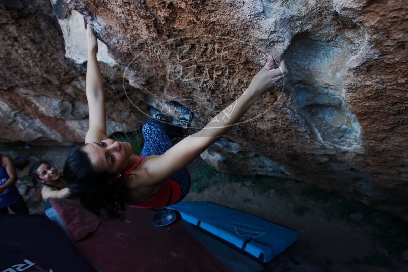 

Filename: SRM_20170317_1005540.jpg
Aperture: f/4.0
Shutter Speed: 1/320
Body: Canon EOS-1D Mark II
Lens: Canon EF 16-35mm f/2.8 L