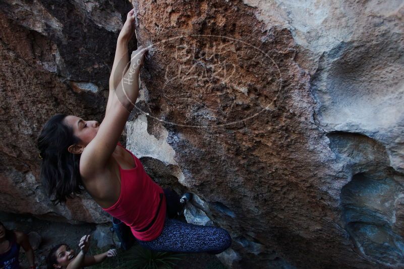 

Filename: SRM_20170317_1006041.jpg
Aperture: f/5.0
Shutter Speed: 1/320
Body: Canon EOS-1D Mark II
Lens: Canon EF 16-35mm f/2.8 L