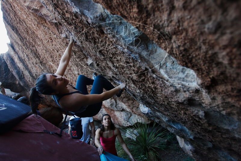 

Filename: SRM_20170317_1010380.jpg
Aperture: f/3.2
Shutter Speed: 1/320
Body: Canon EOS-1D Mark II
Lens: Canon EF 16-35mm f/2.8 L