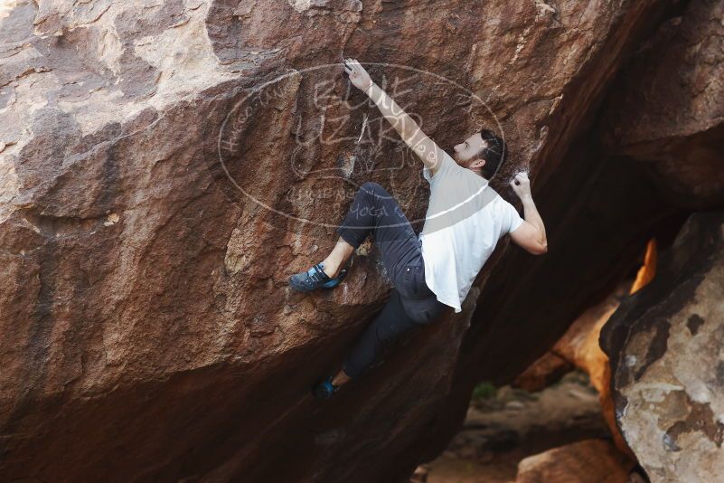 

Filename: SRM_20170317_1033221.jpg
Aperture: f/2.5
Shutter Speed: 1/640
Body: Canon EOS-1D Mark II
Lens: Canon EF 85mm f/1.2 L II