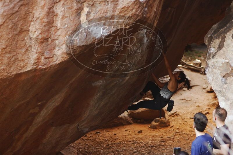 

Filename: SRM_20170317_1035591.jpg
Aperture: f/2.8
Shutter Speed: 1/250
Body: Canon EOS-1D Mark II
Lens: Canon EF 85mm f/1.2 L II