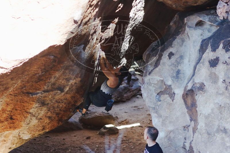 

Filename: SRM_20170317_1045381.jpg
Aperture: f/2.5
Shutter Speed: 1/1250
Body: Canon EOS-1D Mark II
Lens: Canon EF 85mm f/1.2 L II