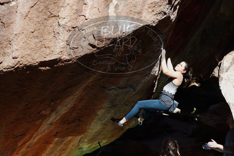 

Filename: SRM_20170317_1100121.jpg
Aperture: f/4.0
Shutter Speed: 1/2500
Body: Canon EOS-1D Mark II
Lens: Canon EF 85mm f/1.2 L II