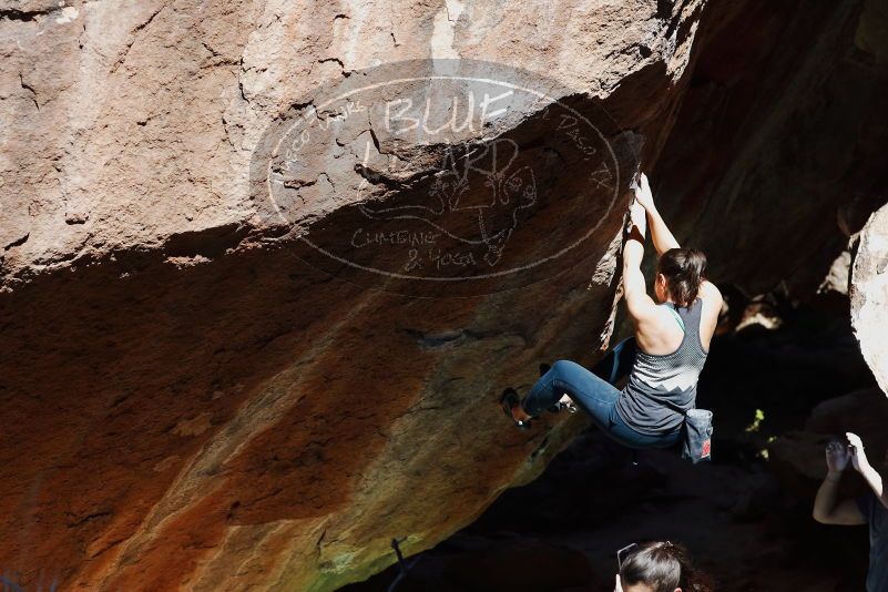 

Filename: SRM_20170317_1100182.jpg
Aperture: f/4.0
Shutter Speed: 1/2000
Body: Canon EOS-1D Mark II
Lens: Canon EF 85mm f/1.2 L II