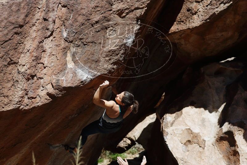 

Filename: SRM_20170317_1146411.jpg
Aperture: f/4.5
Shutter Speed: 1/640
Body: Canon EOS-1D Mark II
Lens: Canon EF 85mm f/1.2 L II