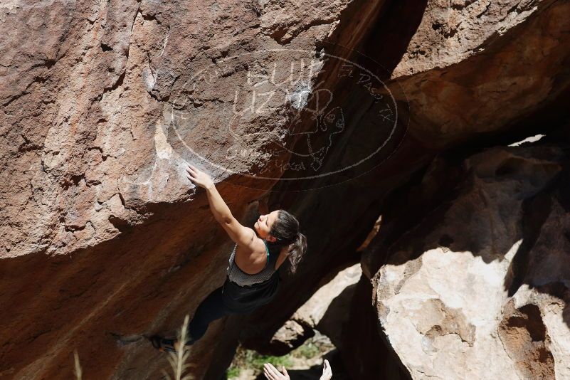 

Filename: SRM_20170317_1146420.jpg
Aperture: f/4.5
Shutter Speed: 1/500
Body: Canon EOS-1D Mark II
Lens: Canon EF 85mm f/1.2 L II