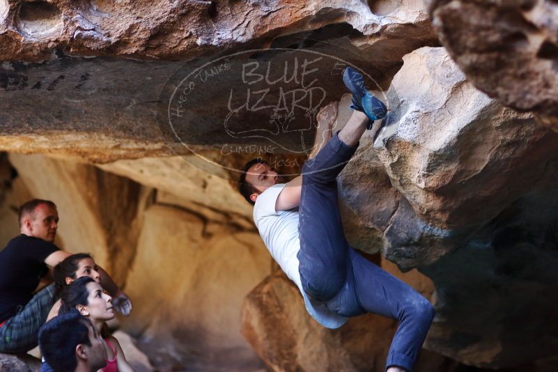 

Filename: SRM_20170317_1309451.jpg
Aperture: f/2.0
Shutter Speed: 1/400
Body: Canon EOS-1D Mark II
Lens: Canon EF 85mm f/1.2 L II