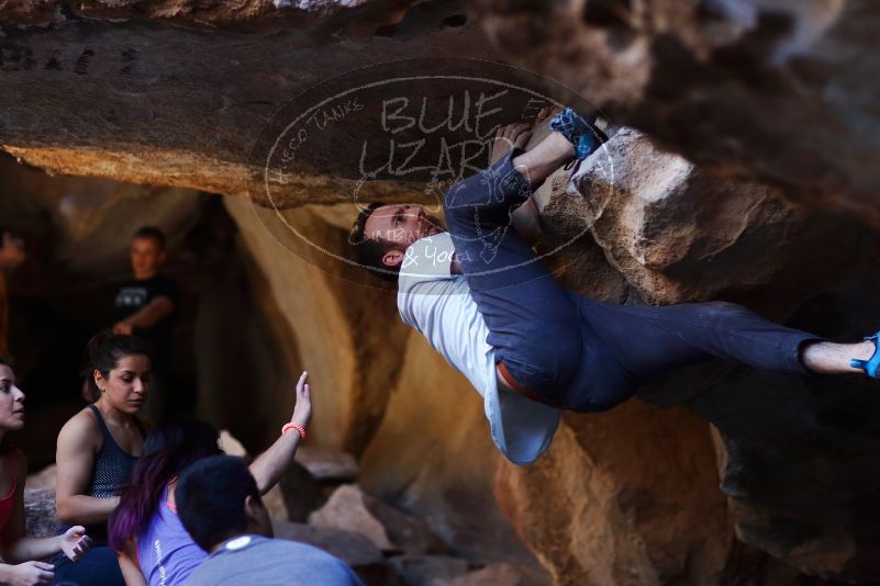 

Filename: SRM_20170317_1313041.jpg
Aperture: f/2.0
Shutter Speed: 1/640
Body: Canon EOS-1D Mark II
Lens: Canon EF 85mm f/1.2 L II