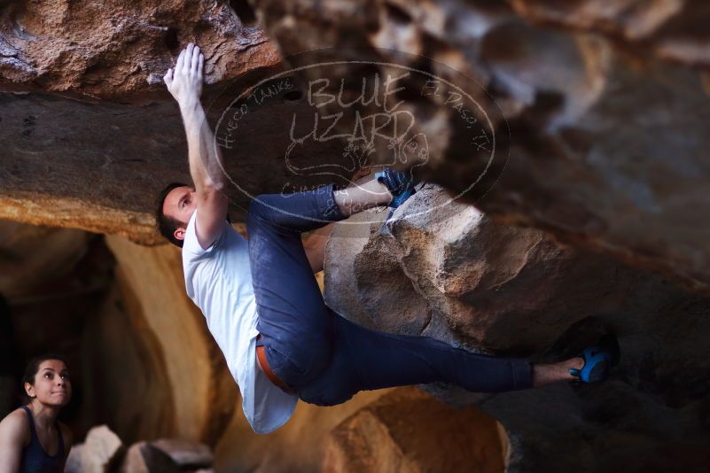 

Filename: SRM_20170317_1313072.jpg
Aperture: f/2.0
Shutter Speed: 1/500
Body: Canon EOS-1D Mark II
Lens: Canon EF 85mm f/1.2 L II