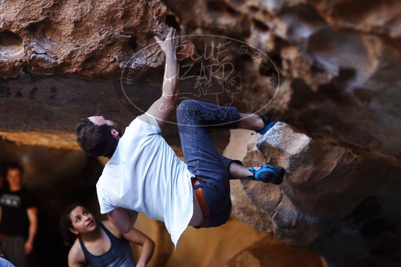 

Filename: SRM_20170317_1313130.jpg
Aperture: f/2.0
Shutter Speed: 1/640
Body: Canon EOS-1D Mark II
Lens: Canon EF 85mm f/1.2 L II