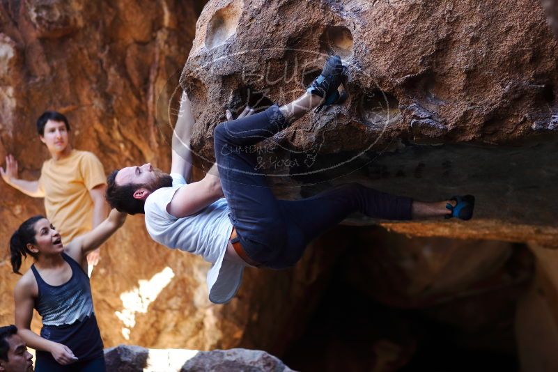 

Filename: SRM_20170317_1313463.jpg
Aperture: f/2.0
Shutter Speed: 1/1000
Body: Canon EOS-1D Mark II
Lens: Canon EF 85mm f/1.2 L II