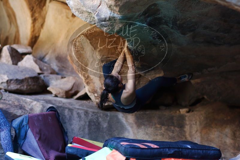 

Filename: SRM_20170317_1315190.jpg
Aperture: f/2.0
Shutter Speed: 1/200
Body: Canon EOS-1D Mark II
Lens: Canon EF 85mm f/1.2 L II