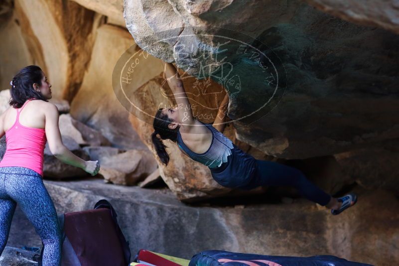 

Filename: SRM_20170317_1315220.jpg
Aperture: f/2.0
Shutter Speed: 1/250
Body: Canon EOS-1D Mark II
Lens: Canon EF 85mm f/1.2 L II