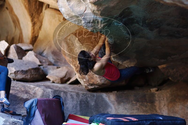 

Filename: SRM_20170317_1316201.jpg
Aperture: f/2.0
Shutter Speed: 1/250
Body: Canon EOS-1D Mark II
Lens: Canon EF 85mm f/1.2 L II